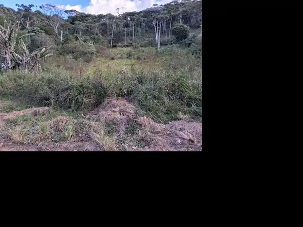 Terreno em leilão em Teresópolis