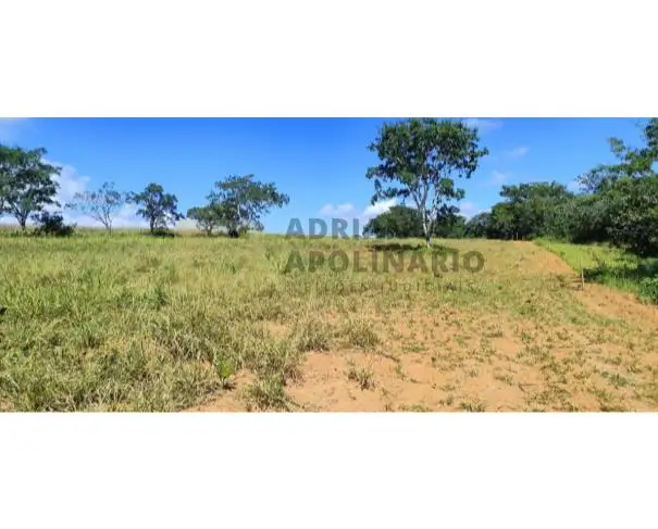 Fazenda São Braz e Almas de 485 ha