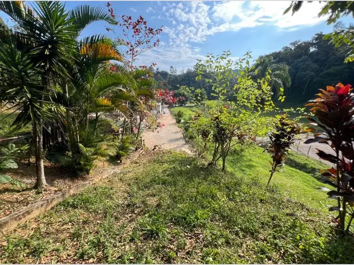 Terreno em leilão em Brusque