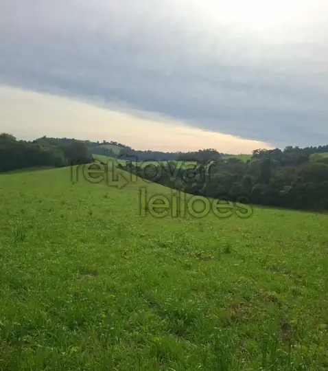 ÁREA RURAL C/ 59.350,00 M² - ARROIO DO TIGRE / RS