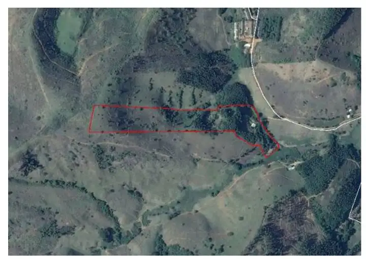 Imóvel em leilão - FAZENDA DA GLORIA, N. SN, ÁREA DE TERRAS RURAL, UBÁ, UBA, MG