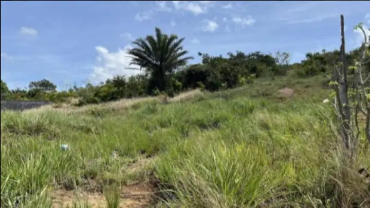 Terreno em leilão em Goiana