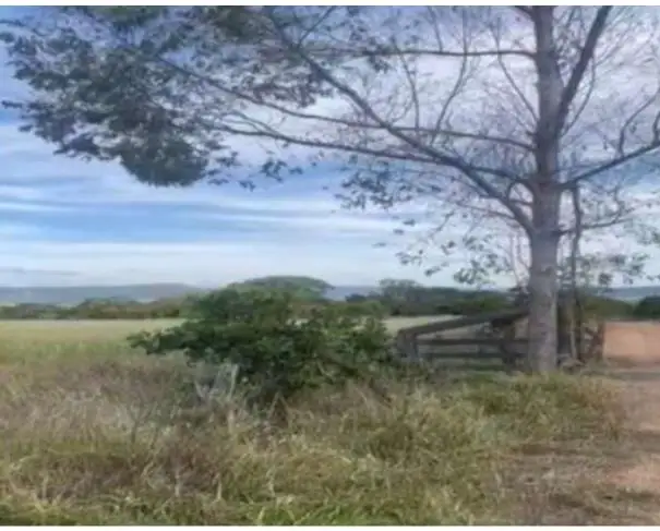 Rurais em leilão em Caldas Novas