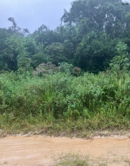 Terreno em leilão em Itanhaém