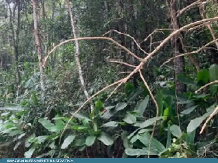 Outros em leilão em Mogi das Cruzes