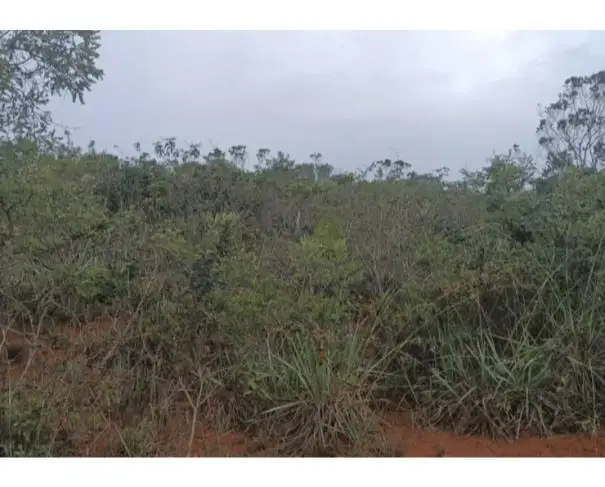 Imóveis em leilão em Rubelita