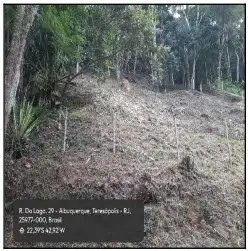 Terreno em leilão em Teresópolis