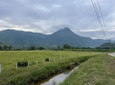 Terrenos Urbanos em leilão em Guaramirim