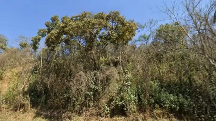 Casa em leilão em Santana da Vargem