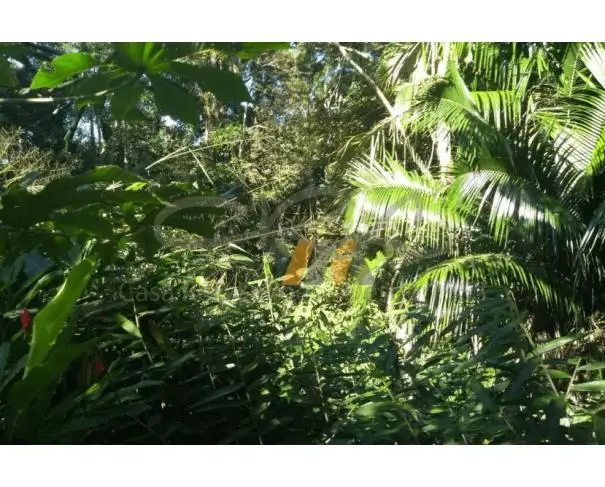 Imóveis em leilão em Caraguatatuba