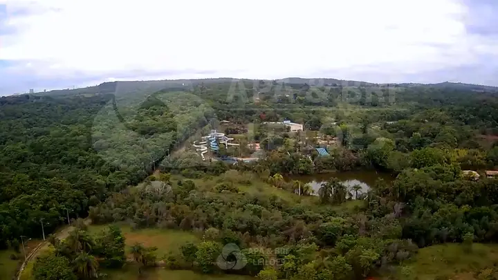 Negócios em leilão em Lagoa Santa