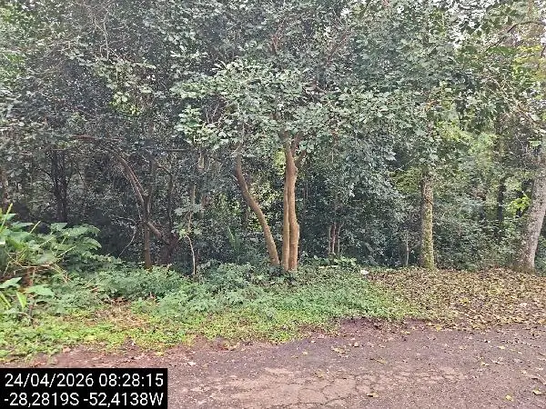 Imóvel em leilão - RUA SALZANO DA CUNHA, N. SN, CHÁCARA 25, VILA LUIZA, PASSO FUNDO, RS