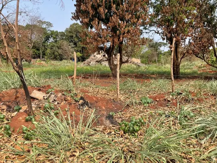 Terreno em leilão em Sarandi