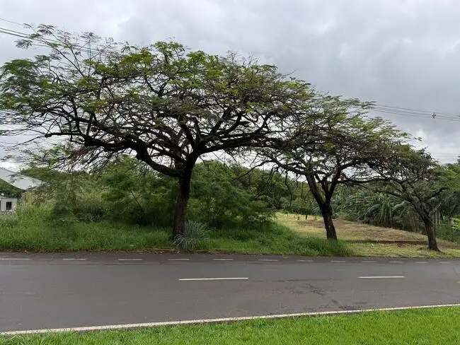 terreno em leilão em Maringá