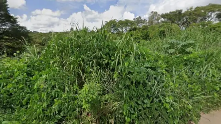 Imóvel em leilão em Ibiá
