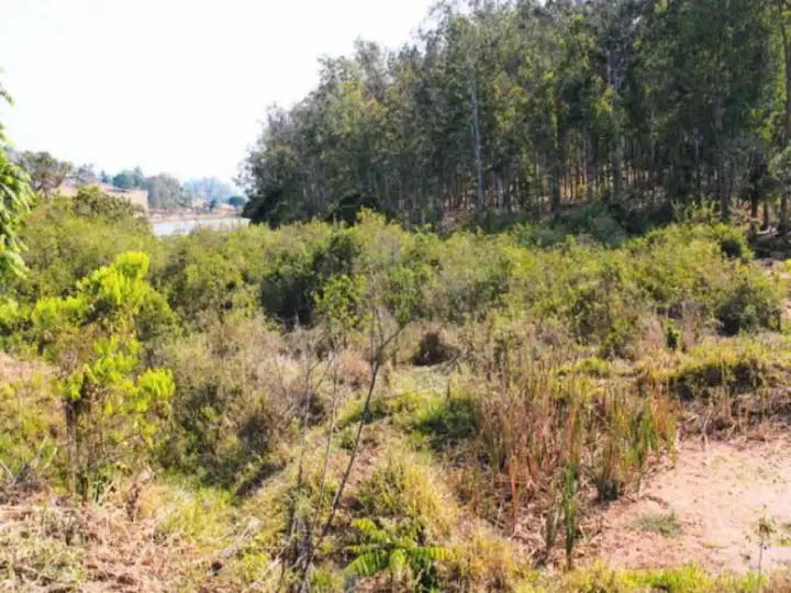 Leilão de Fazenda - Zona Rural - Monte Belo/MG cod: 236720