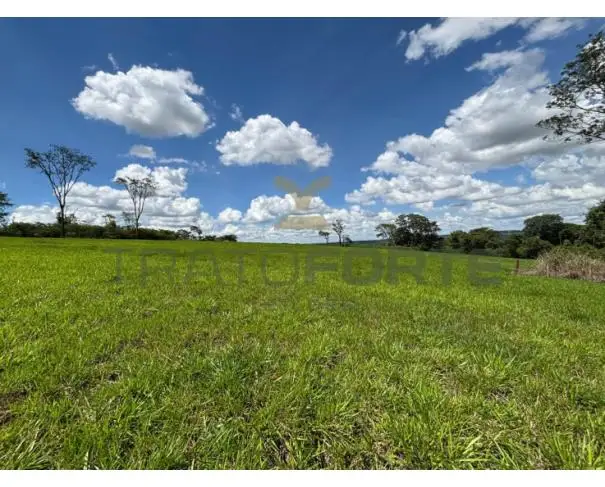 Terrenos em leilão em Uberaba