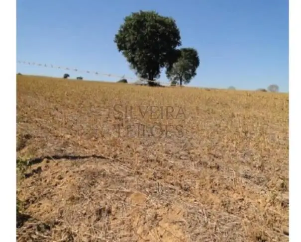 Terrenos em leilão em Campinas