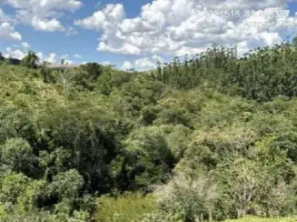 Fazenda Faxinal A.T. 196.017,58 m² - Arapoti/PR