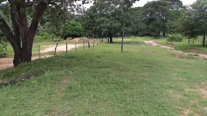 Imóvel em leilão em Januária