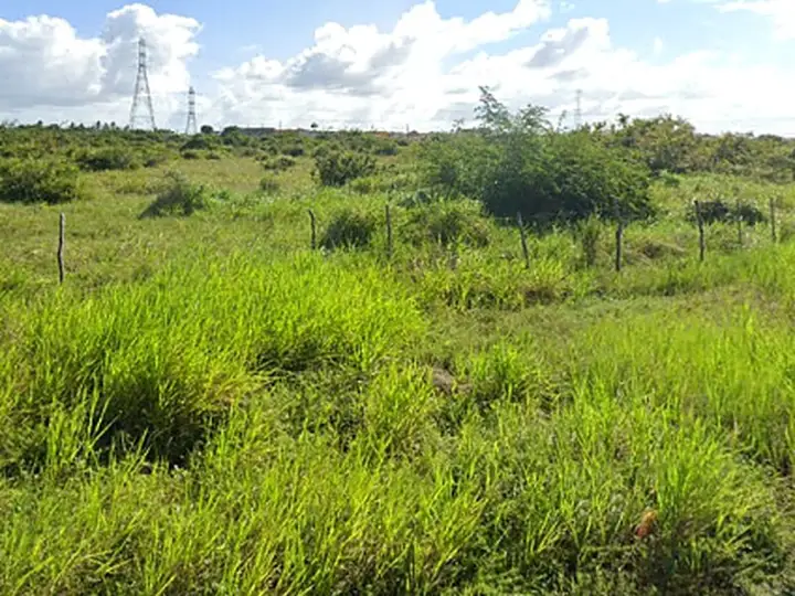 Terreno em leilão em São Gonçalo do Amarante
