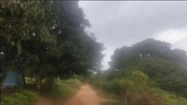 Terreno em leilão em Tianguá