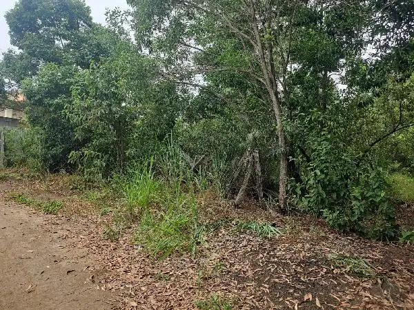 Imóvel em leilão - RUA DARCI VIEIRA DOS SANTOS, N. SN, 153, DO CONGO, VILA VELHA, ES
