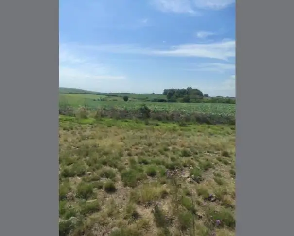 Terrenos em leilão em São Sepé