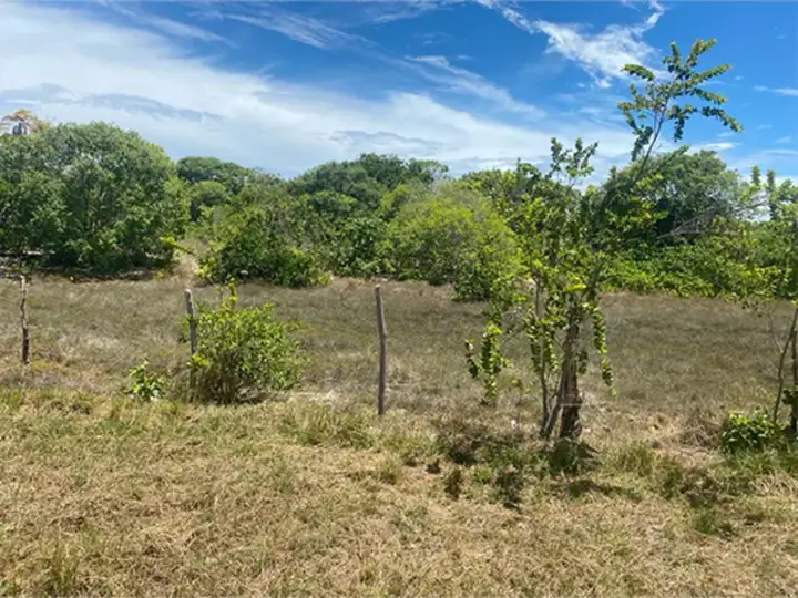 Terreno em leilão em Itaporanga d'Ajuda