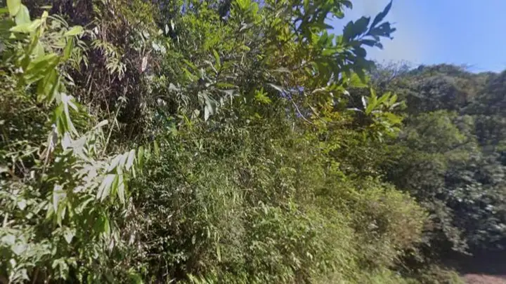 Casa em leilão em Brusque