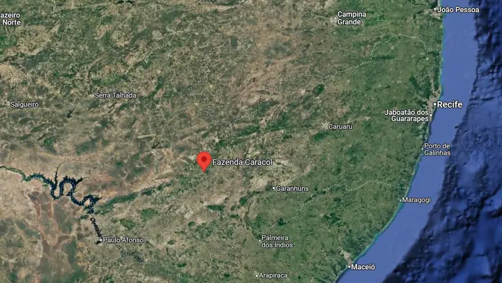 Fazenda - Campo de 112,91 ha - Município de Buíque