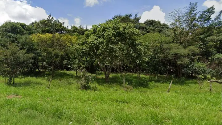 Imóvel Rural de Área 133,4239ha, Uberlandia/MG