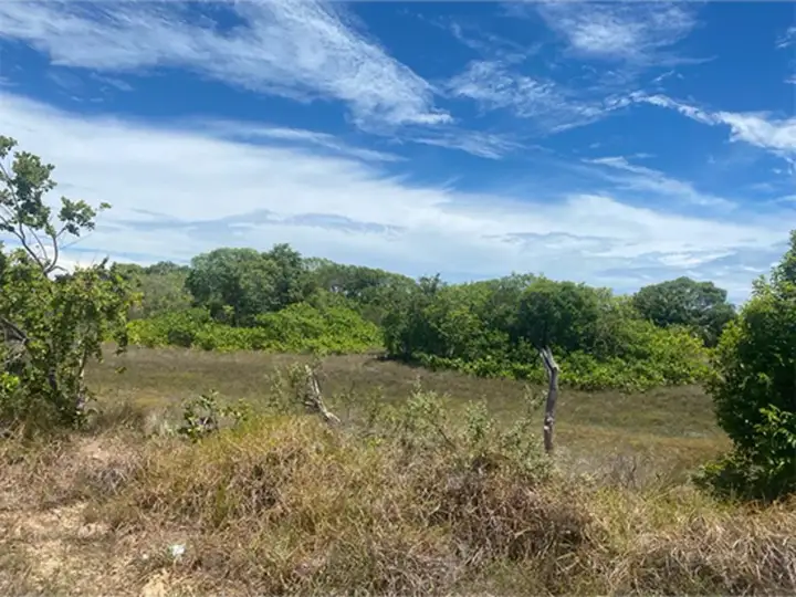 Terreno em leilão em Itaporanga d'Ajuda