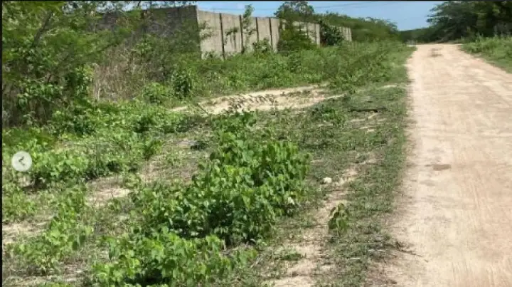 Terreno em leilão em Mossoró