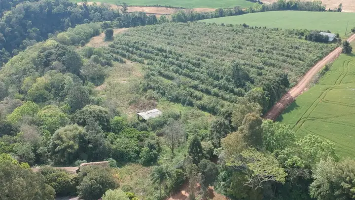 UM IMÓVEL, constituído de PARTE DO LOTE RURAL Nº 10, da Linha Rio dos Índios, com área total de 93.600,00m² em CENTENÁRIO/RS + Benfeitorias
