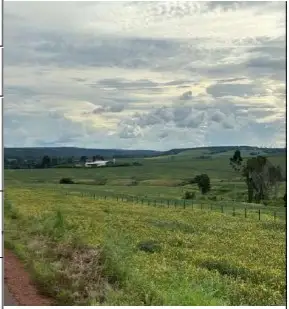 Imóvel em leilão - FAZENDA CANTA GALO II (À ESQUERDA BR-010), N. 00, ALTURA KM 1502/1506, AREA RURAL DE DOM ELISEU, DOM ELISEU, PA