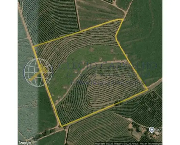 Terrenos em leilão em Monte Alto