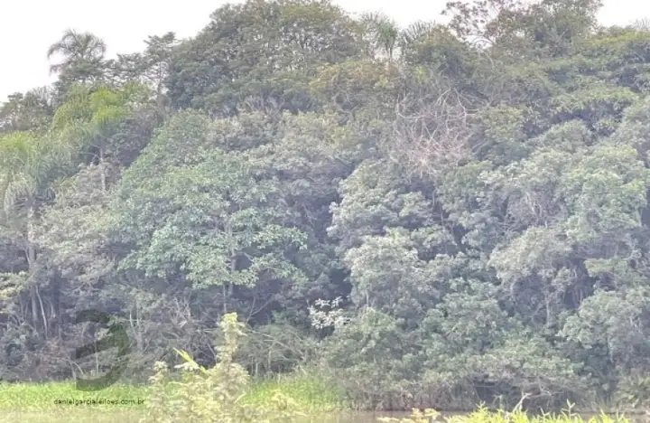 Terreno em leilão em Maracajá