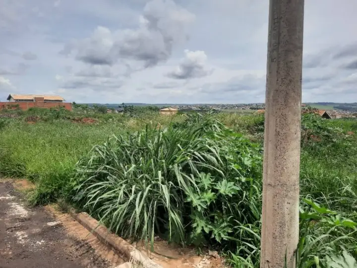 Leilão de Terreno - Jardim Timboré - Orlândia/SP cod: 236424