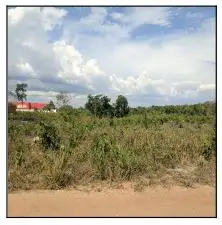 Terreno em leilão em Chapadinha