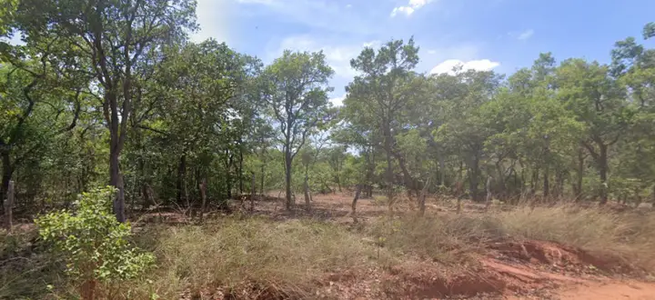Terreno em leilão em Januária