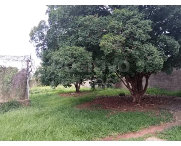 Terrenos em leilão em Araraquara