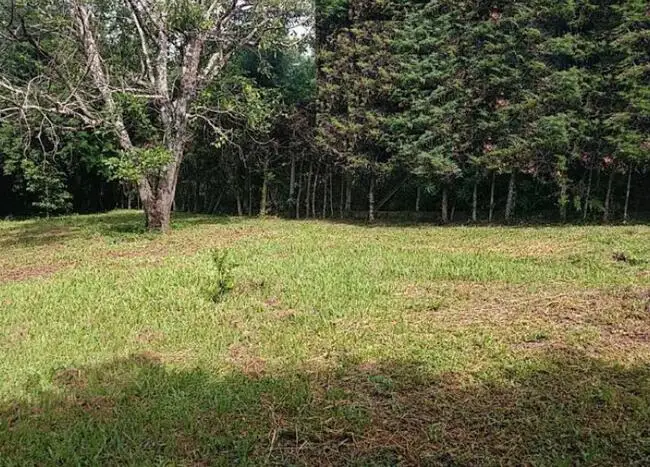 terreno em leilão em Santa Rosa de Viterbo