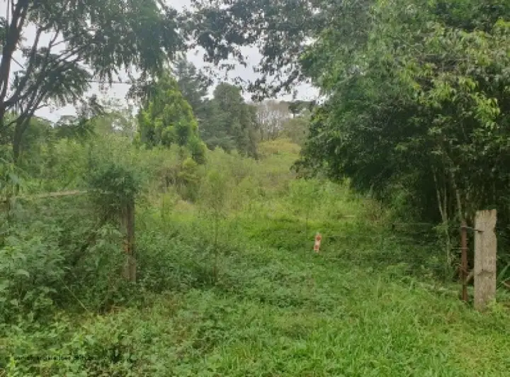 Leilão Judicial de Terreno em Três Barras - Três Barras - SC