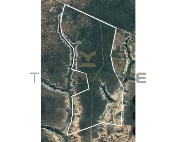 FAZENDA RANCHARIA 01