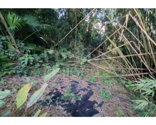 Terrenos em leilão em Santos