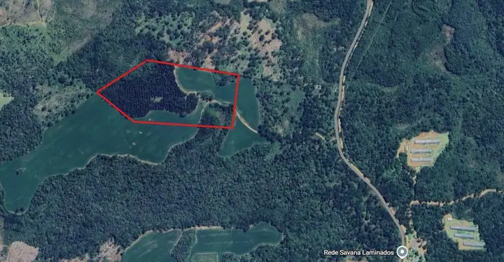 Terrenos Rurais em leilão em Guarapuava