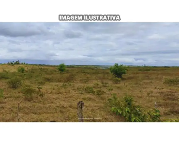 Terrenos em leilão em Itabaianinha