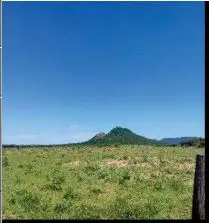 Imóvel rural em leilão em Morpará