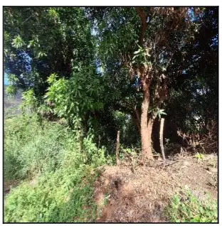 Terreno em leilão em Serra